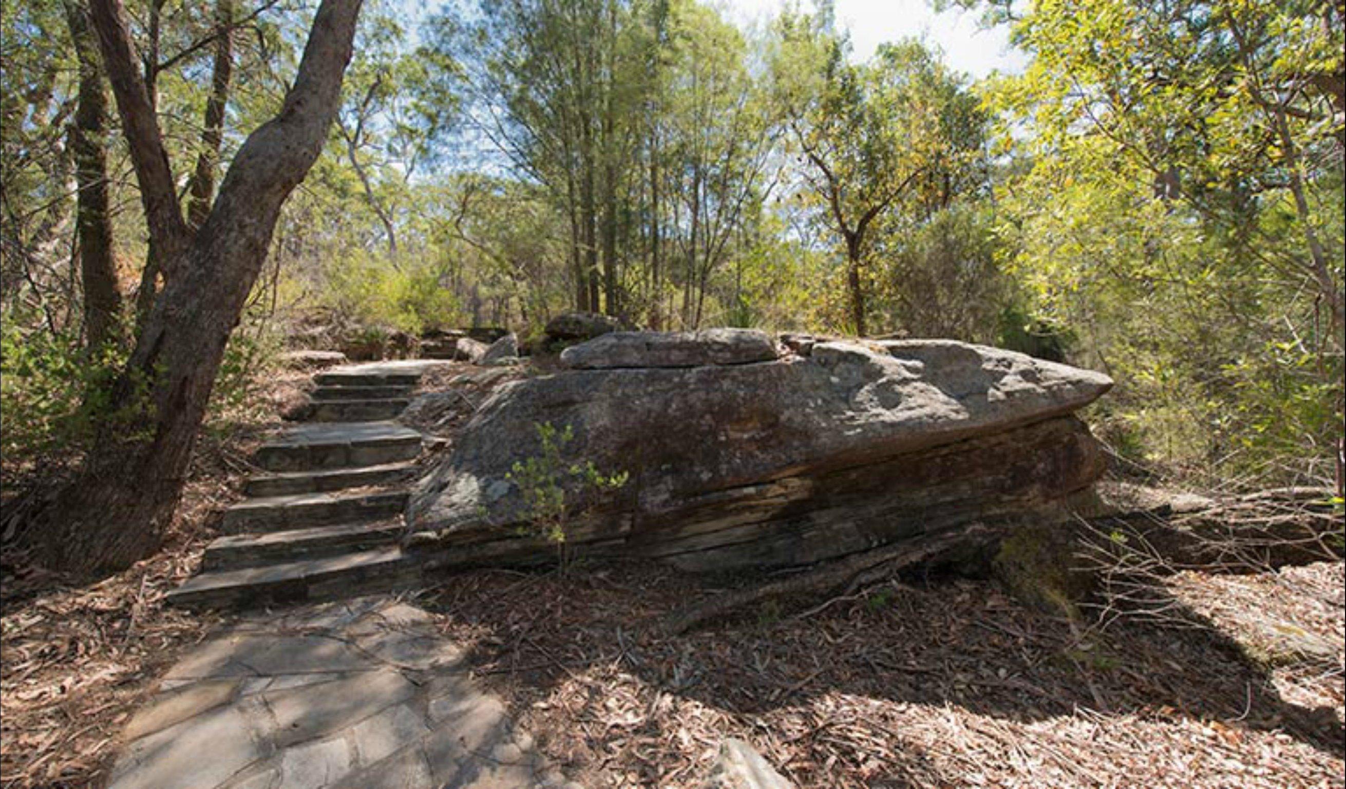 Mooney Mooney nature walk