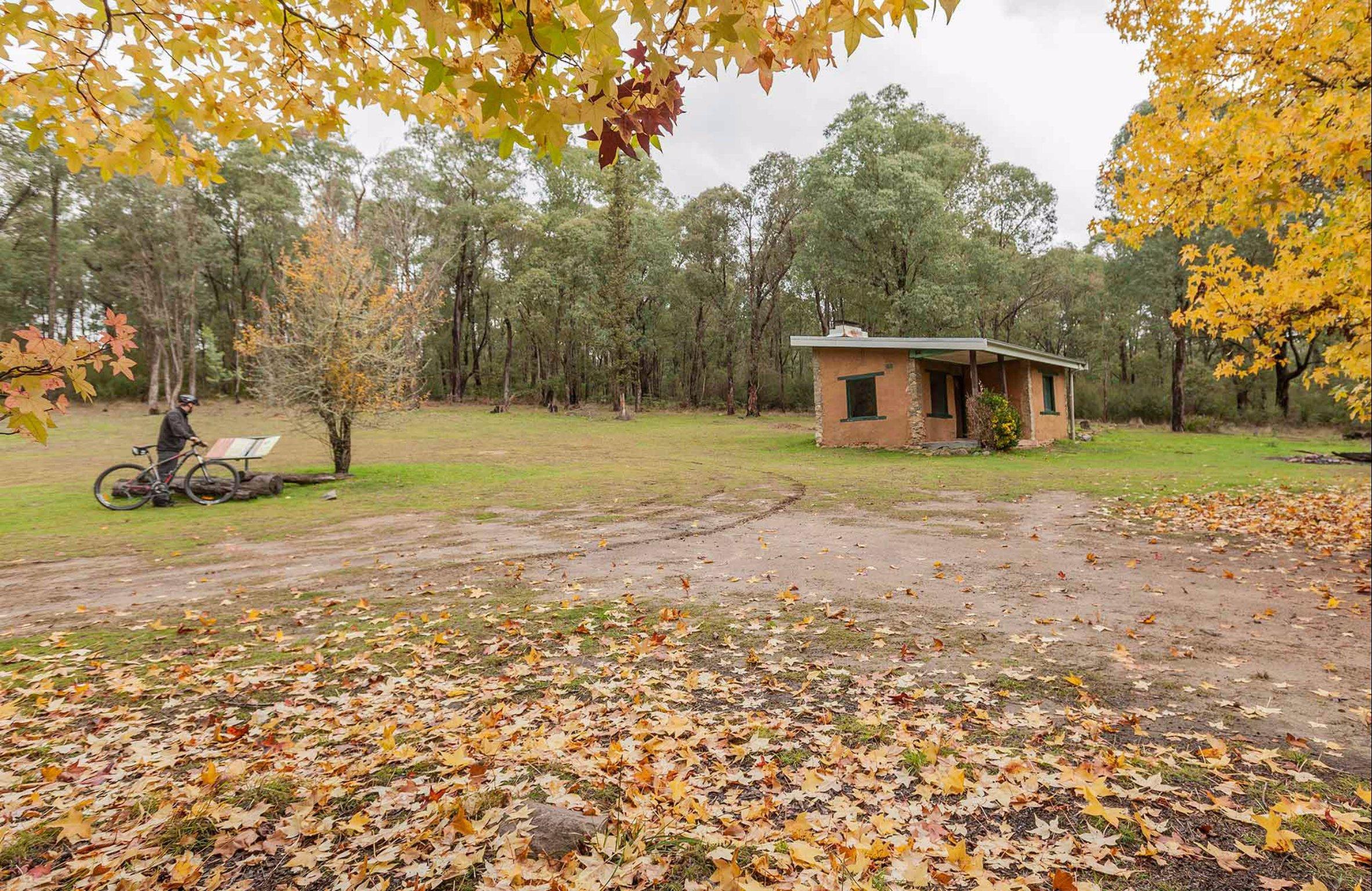 Major Clews Hut Walking Track