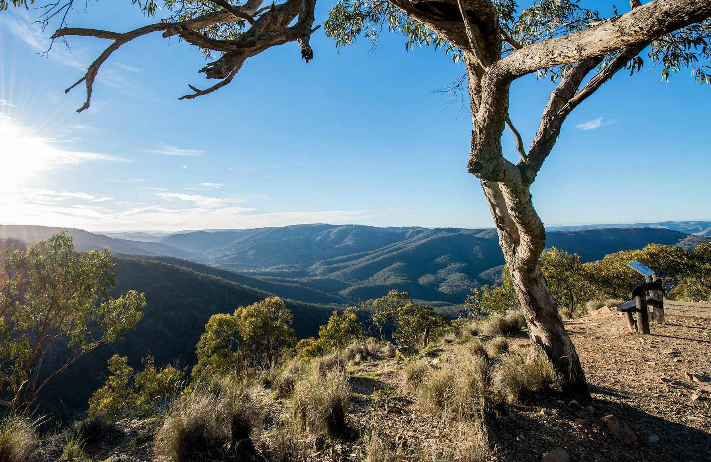 Beaufoy Merlin Lookout