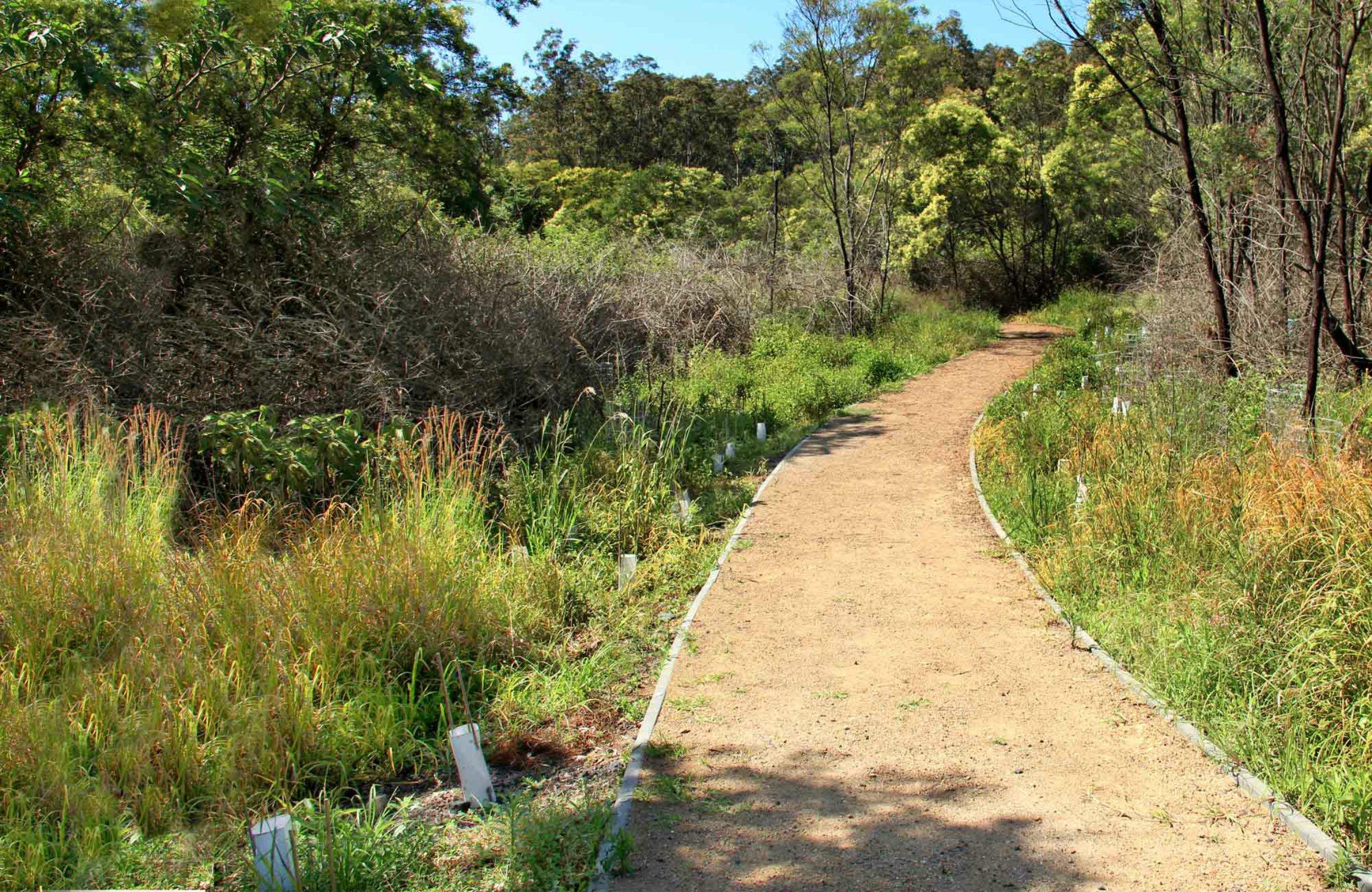 Minmi Cemetery Walk