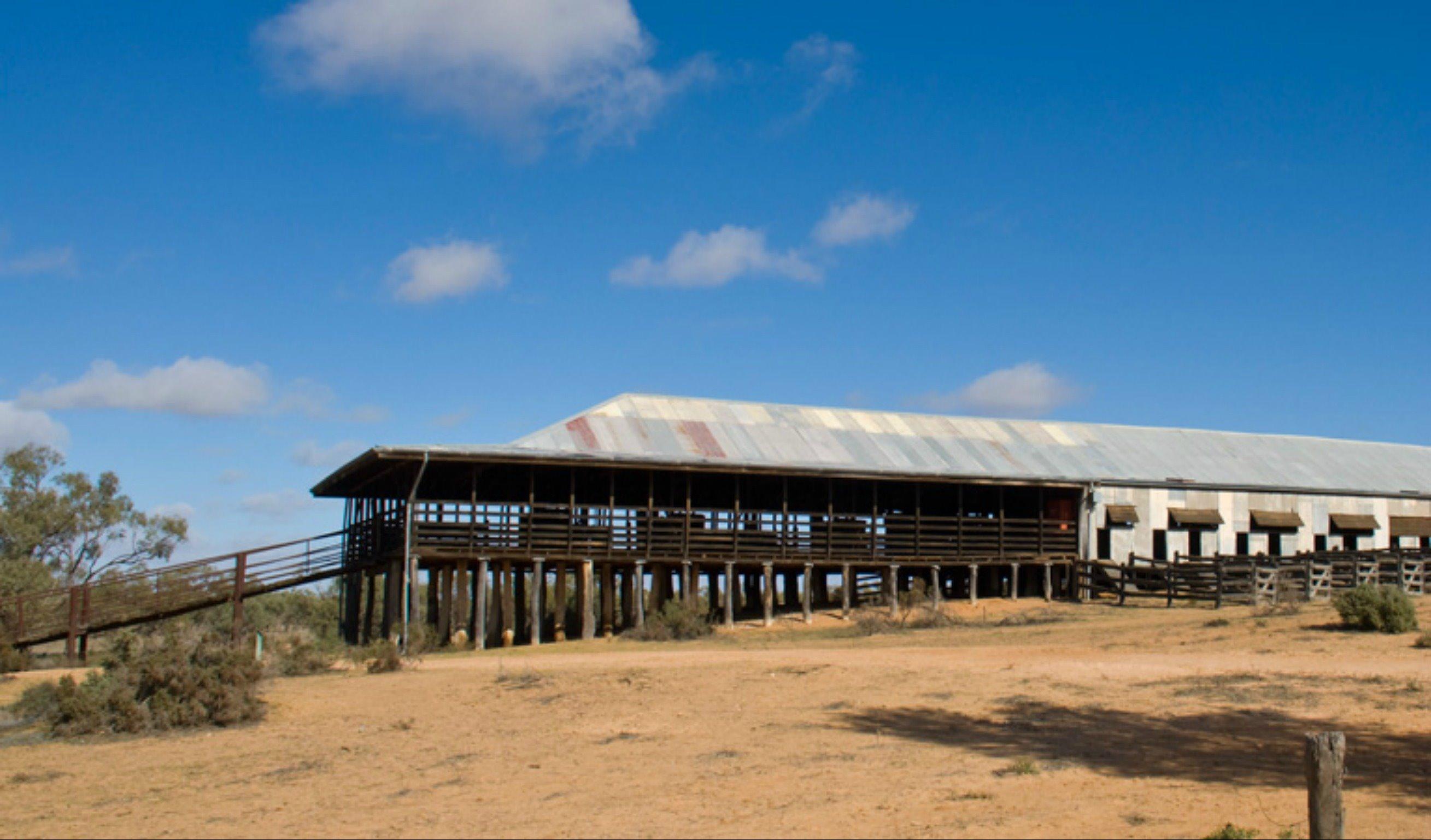 Kinchega Woolshed