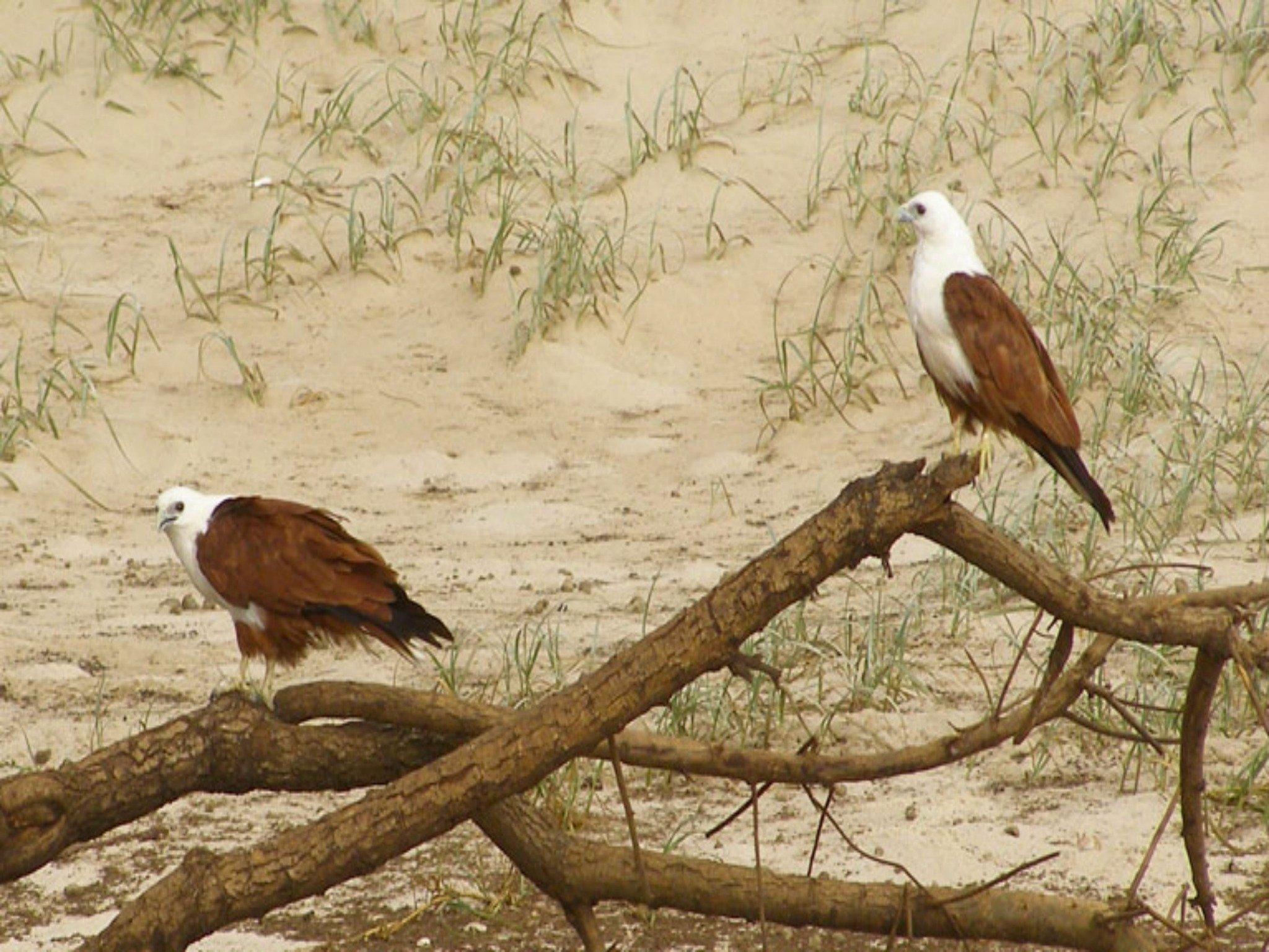 Broadwater National Park