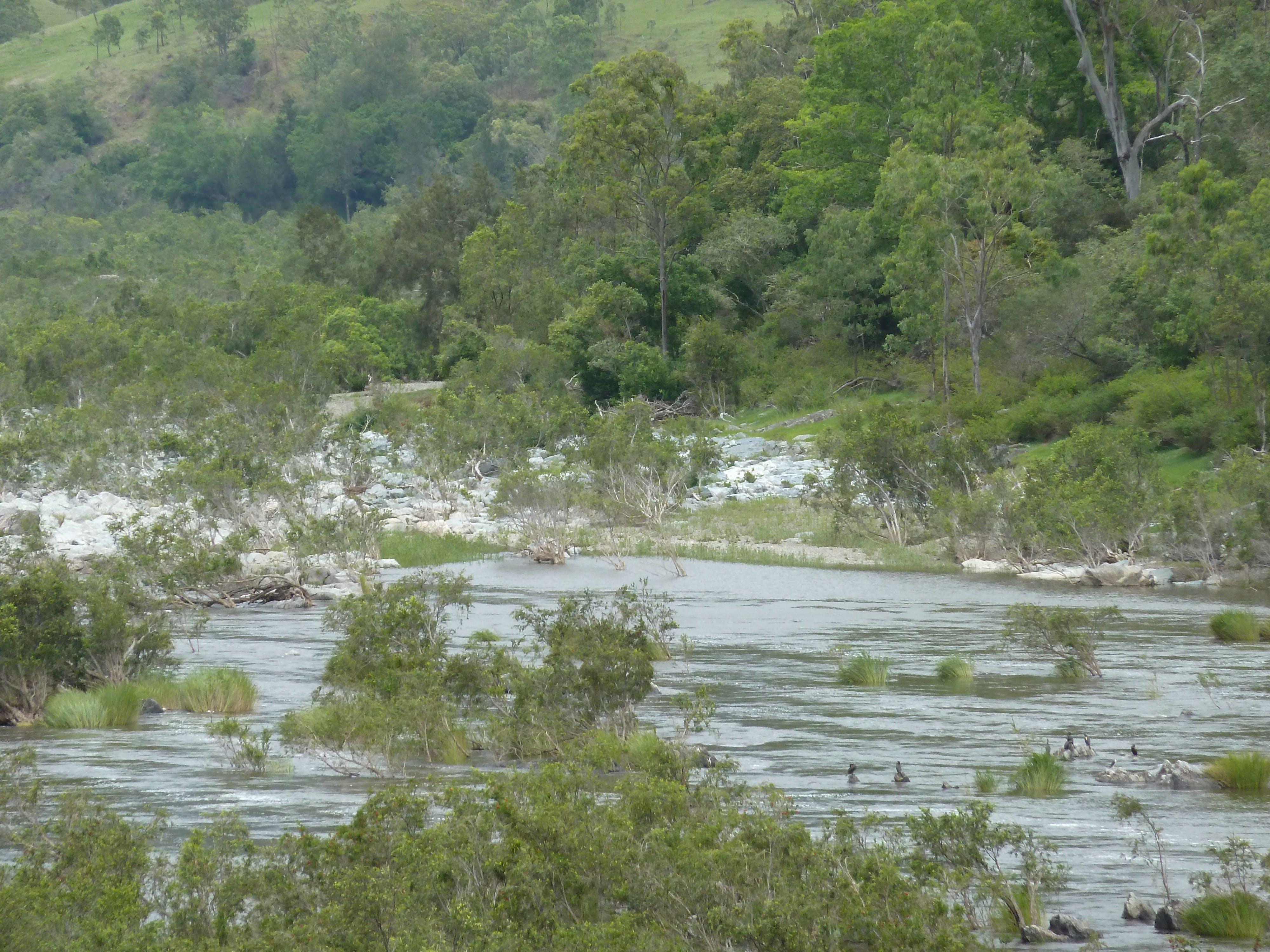 Dalmorton Campground