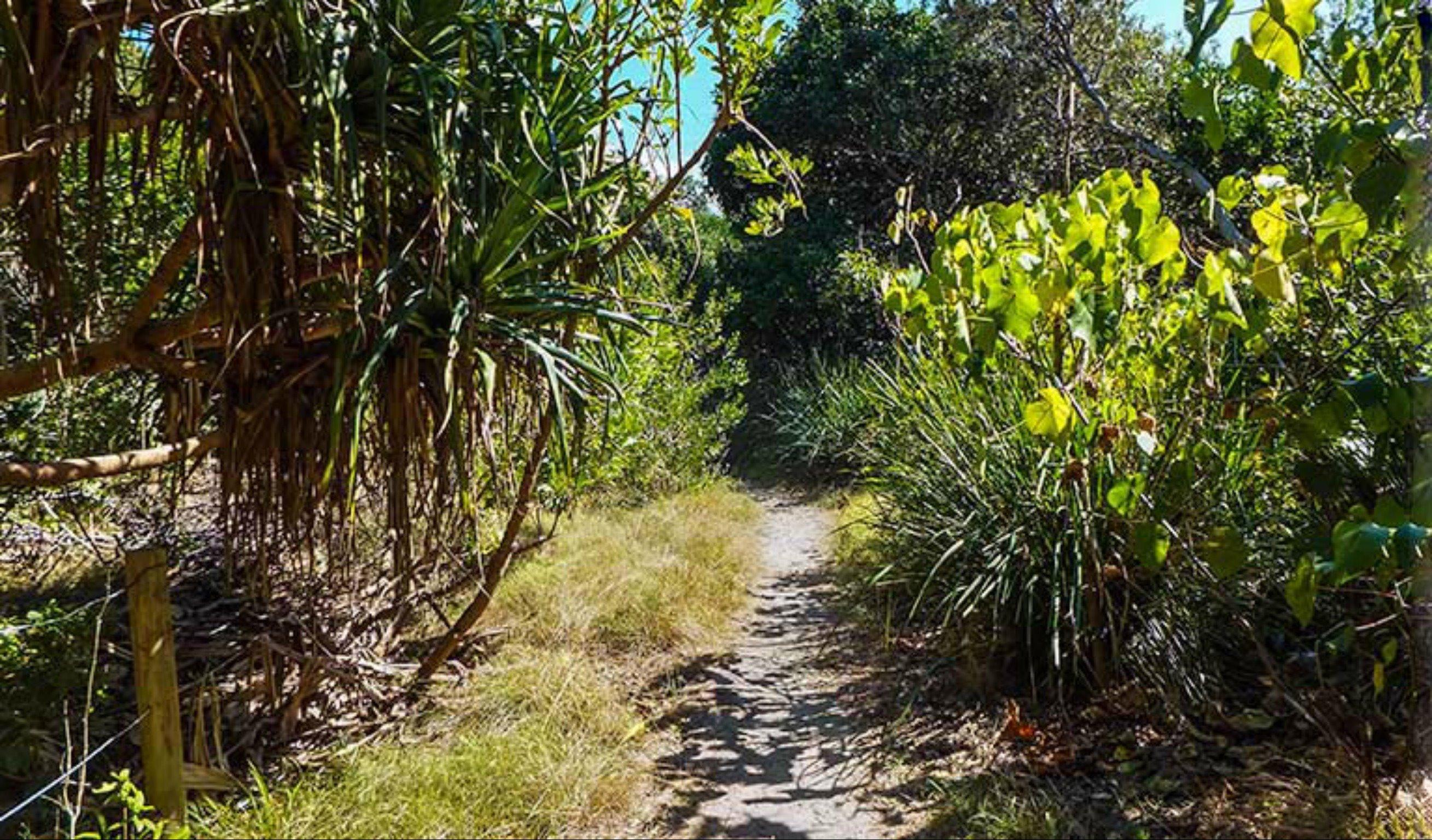 North Head walking track