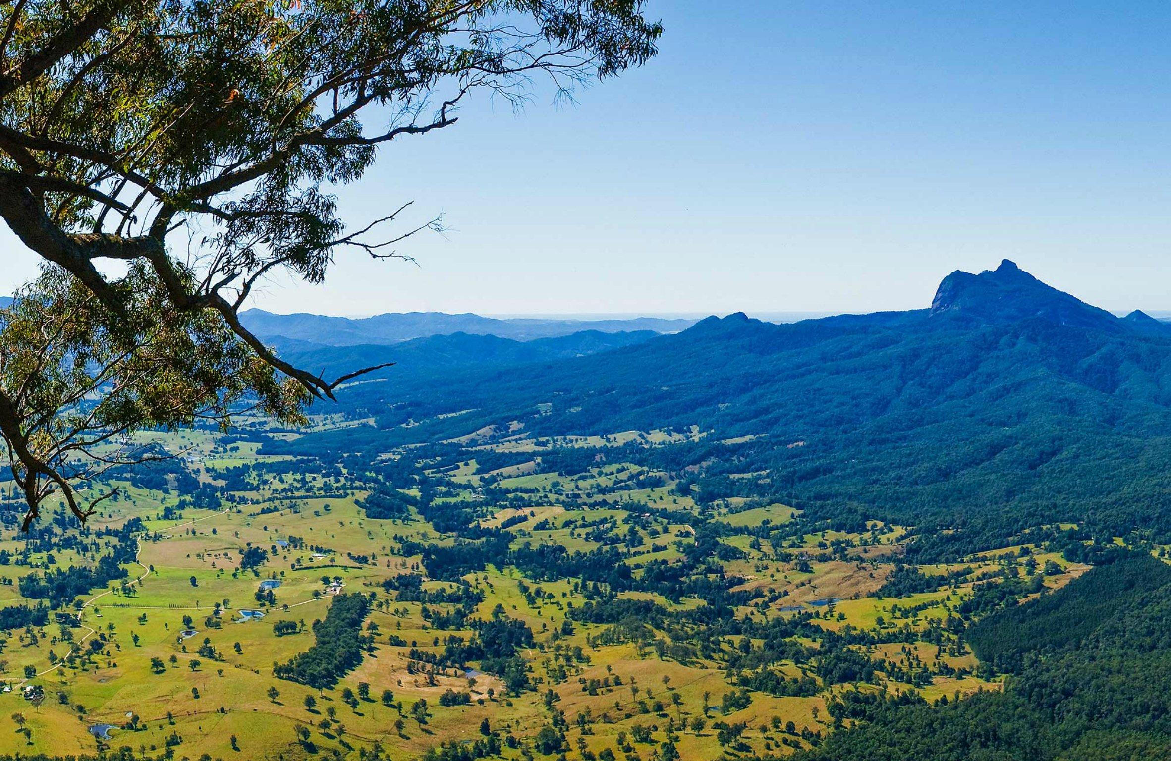 Blackbutt Lookout Picnic Area