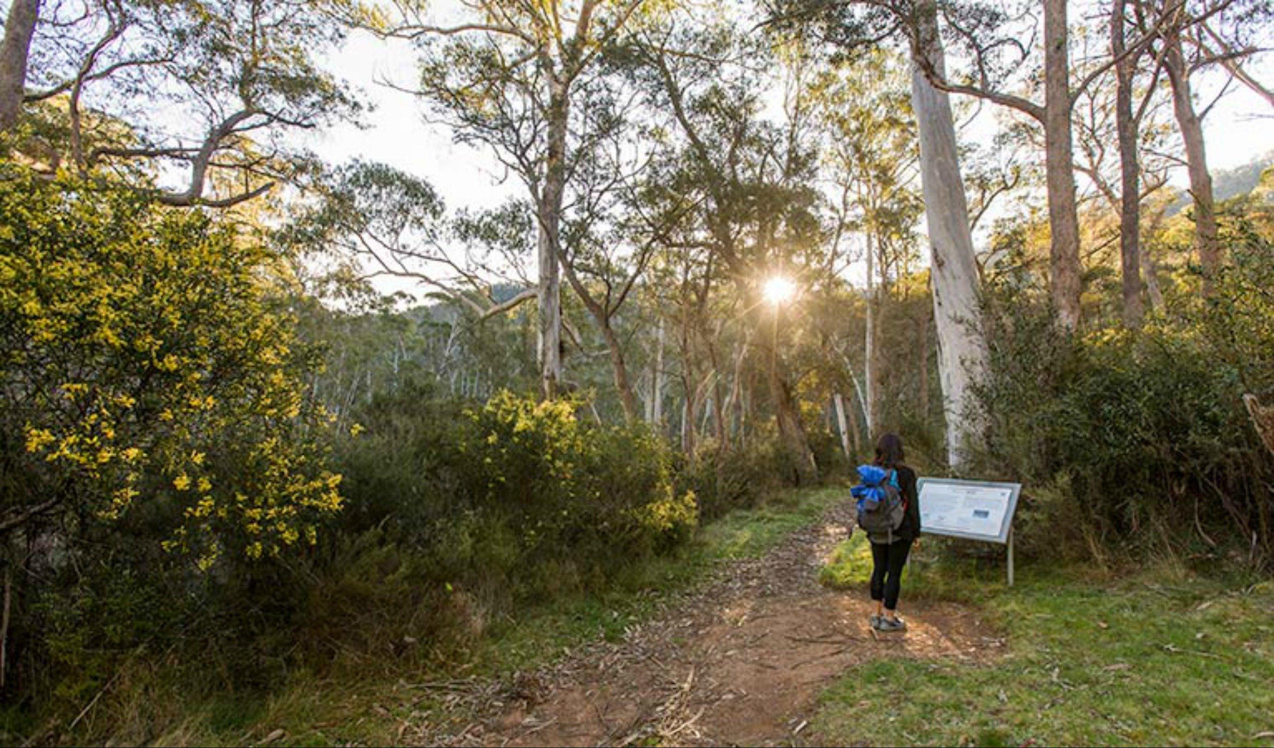 Yarrangobilly Caves – River walk