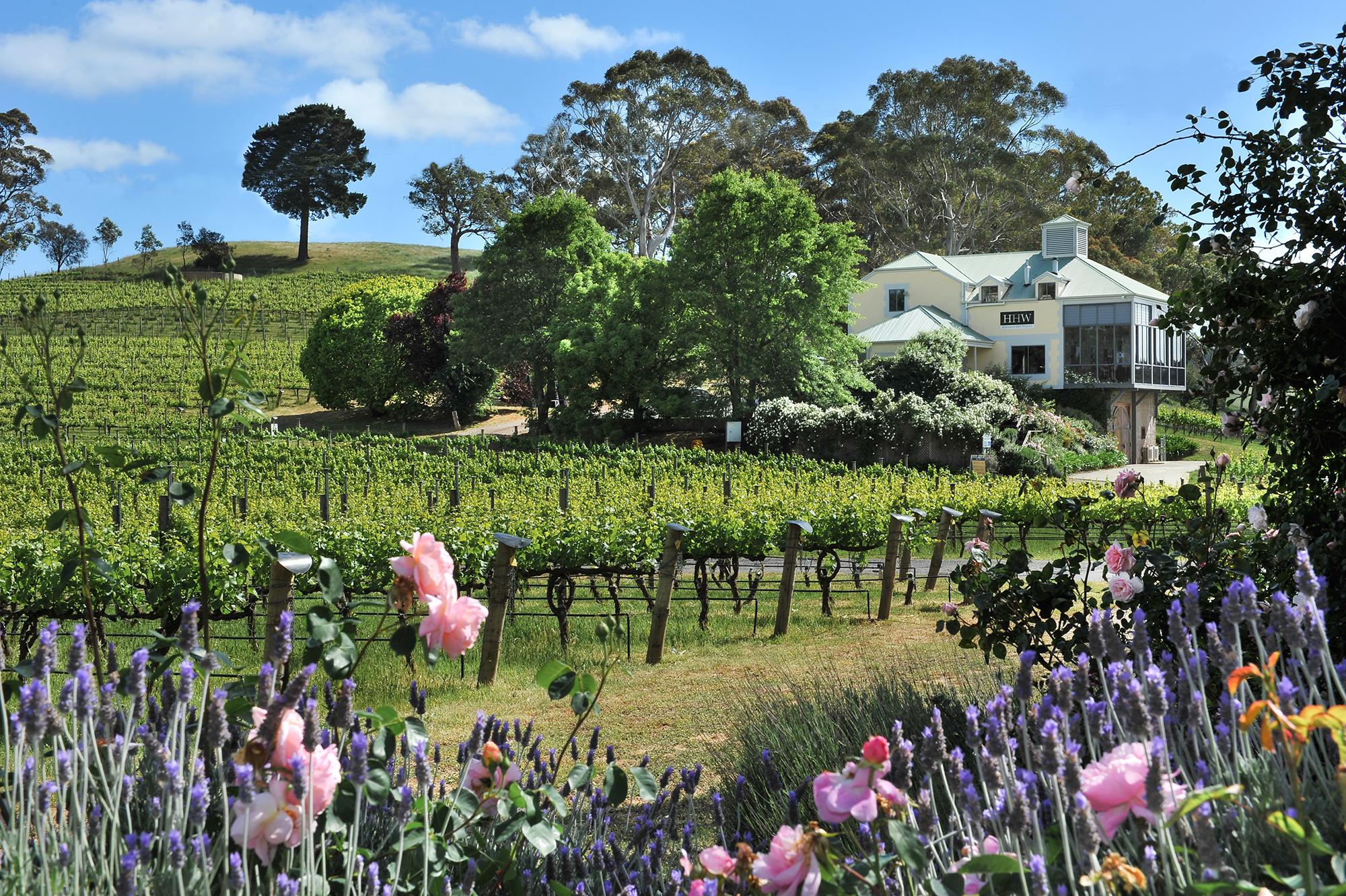 Hahndorf Hill Winery