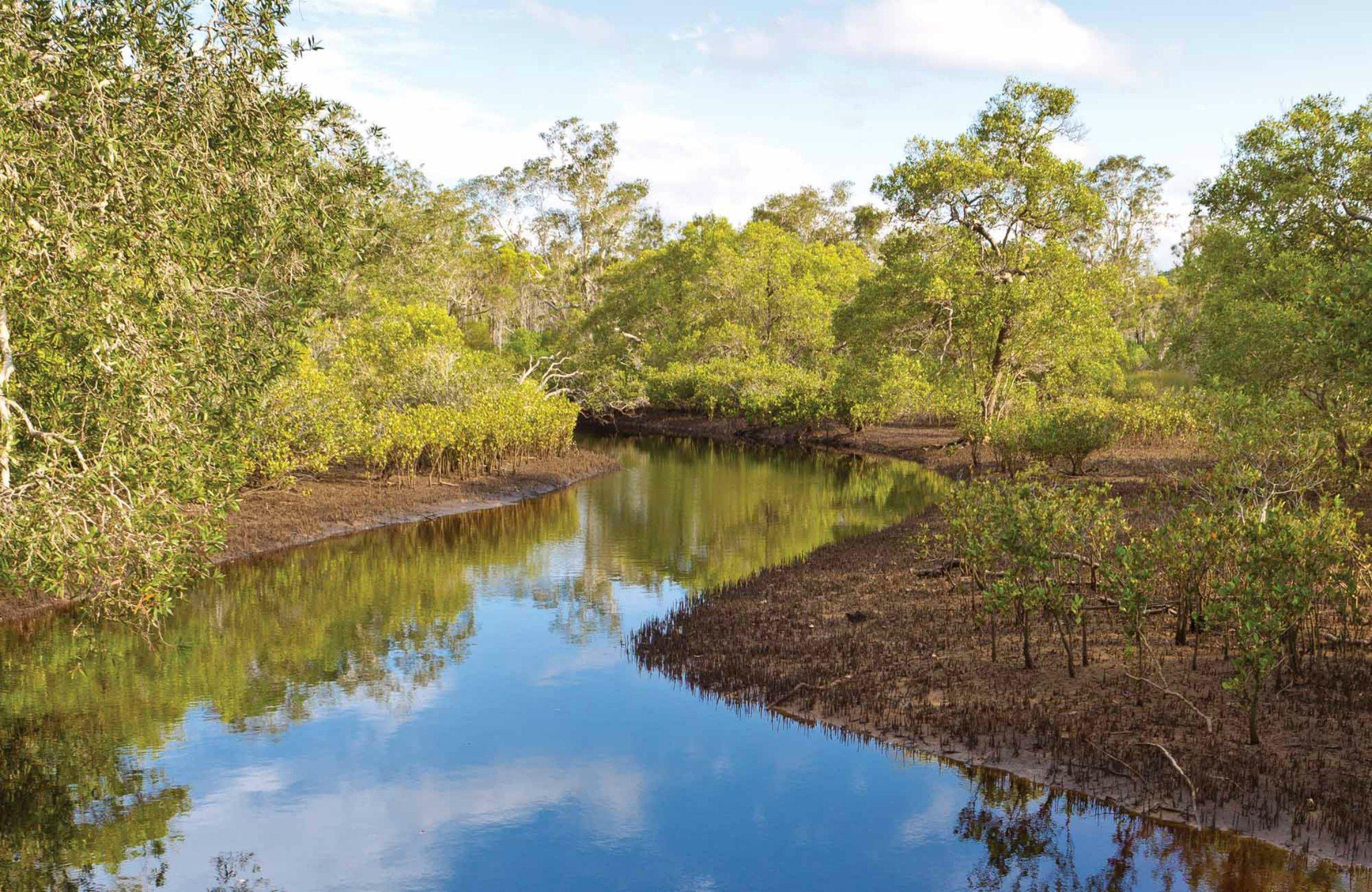 Canoe Evans River Paddle Route