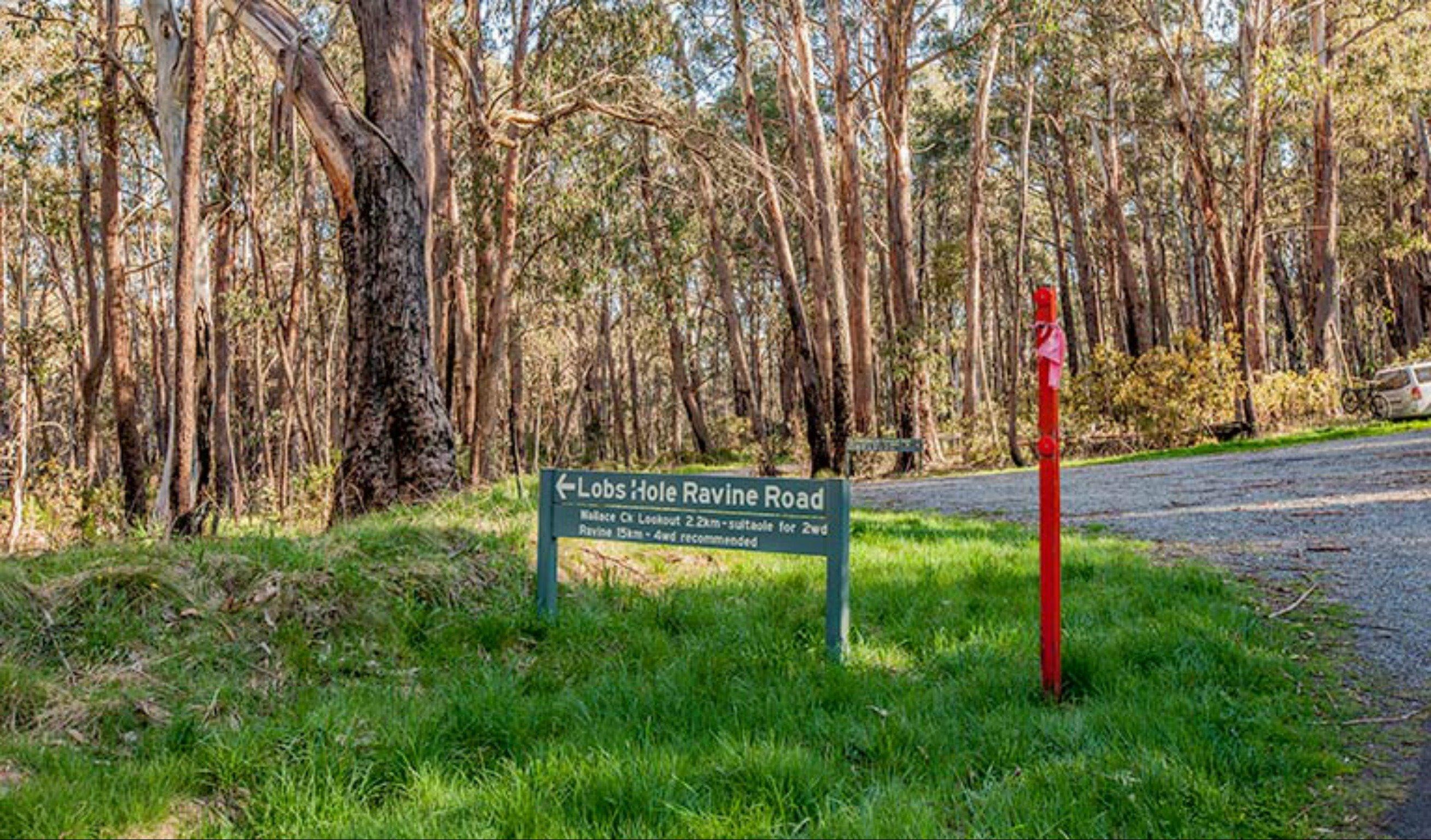 Lobs Hole Ravine 4WD Trail