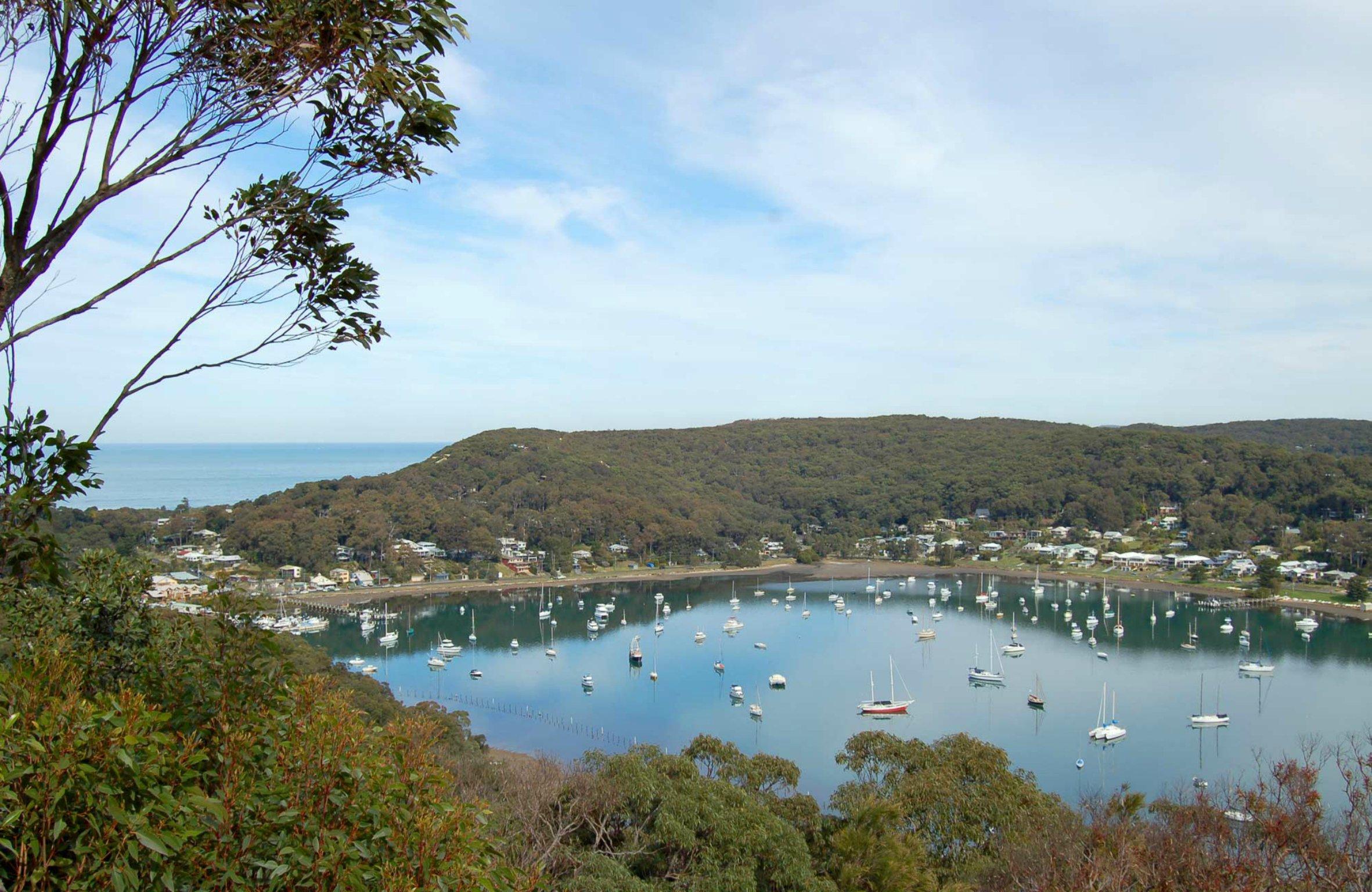 Allen Strom Lookout