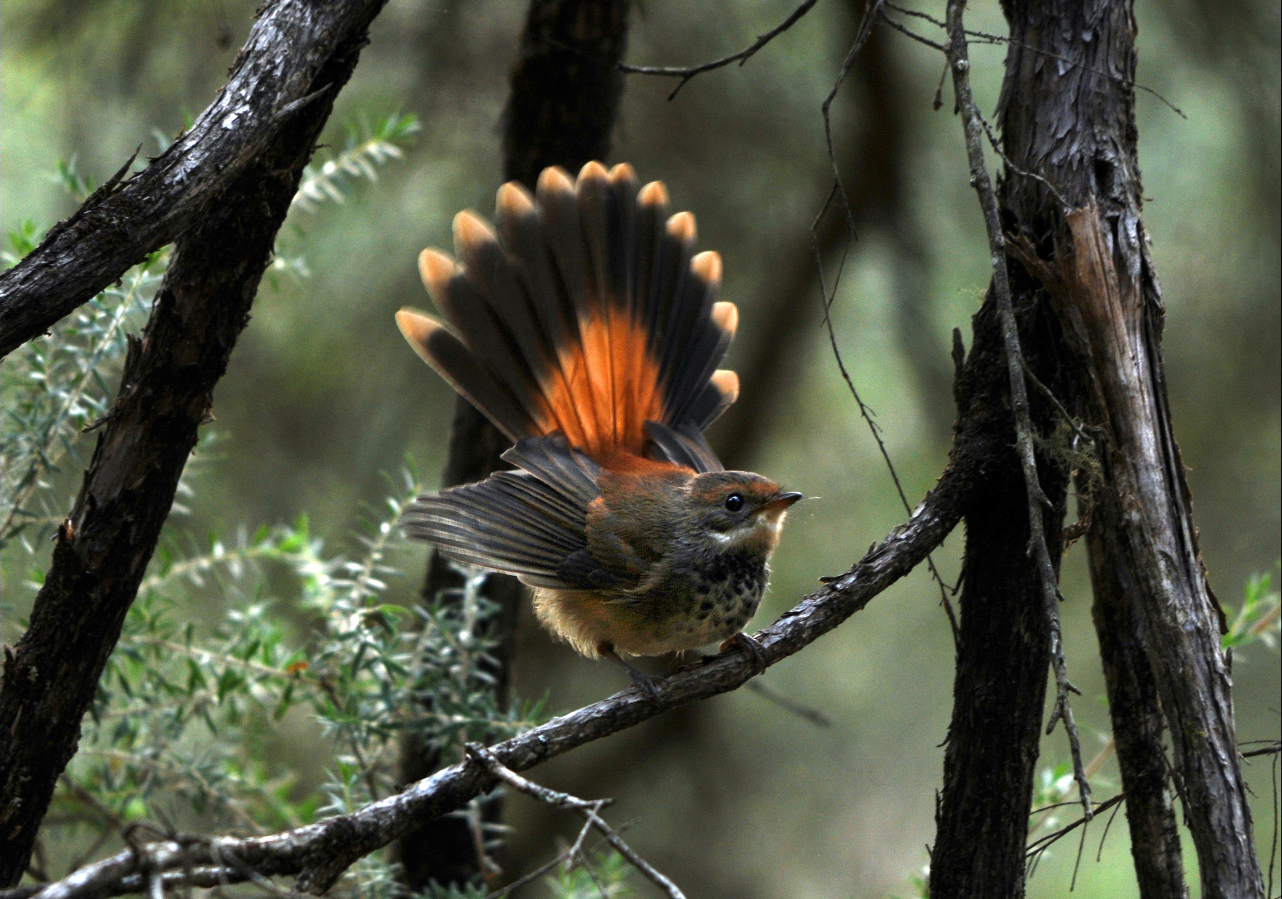 Crawford River Regional Park