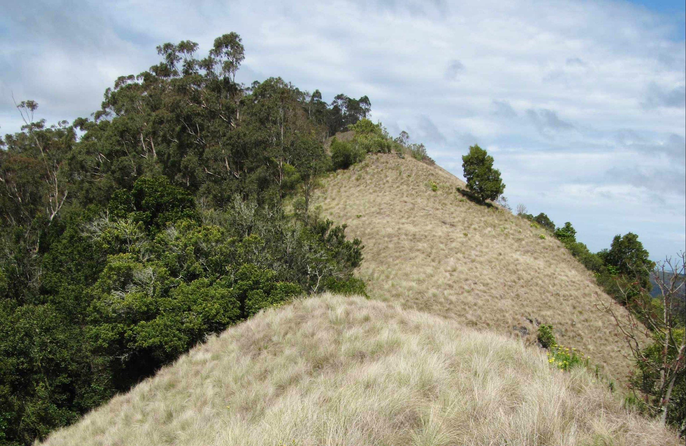 Mount Royal National Park