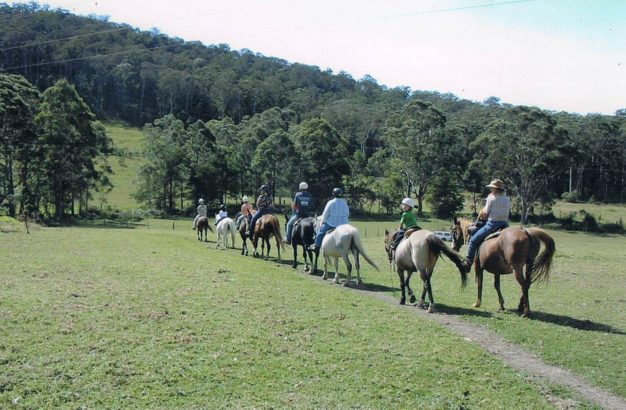 Timbertops - Horse Riding