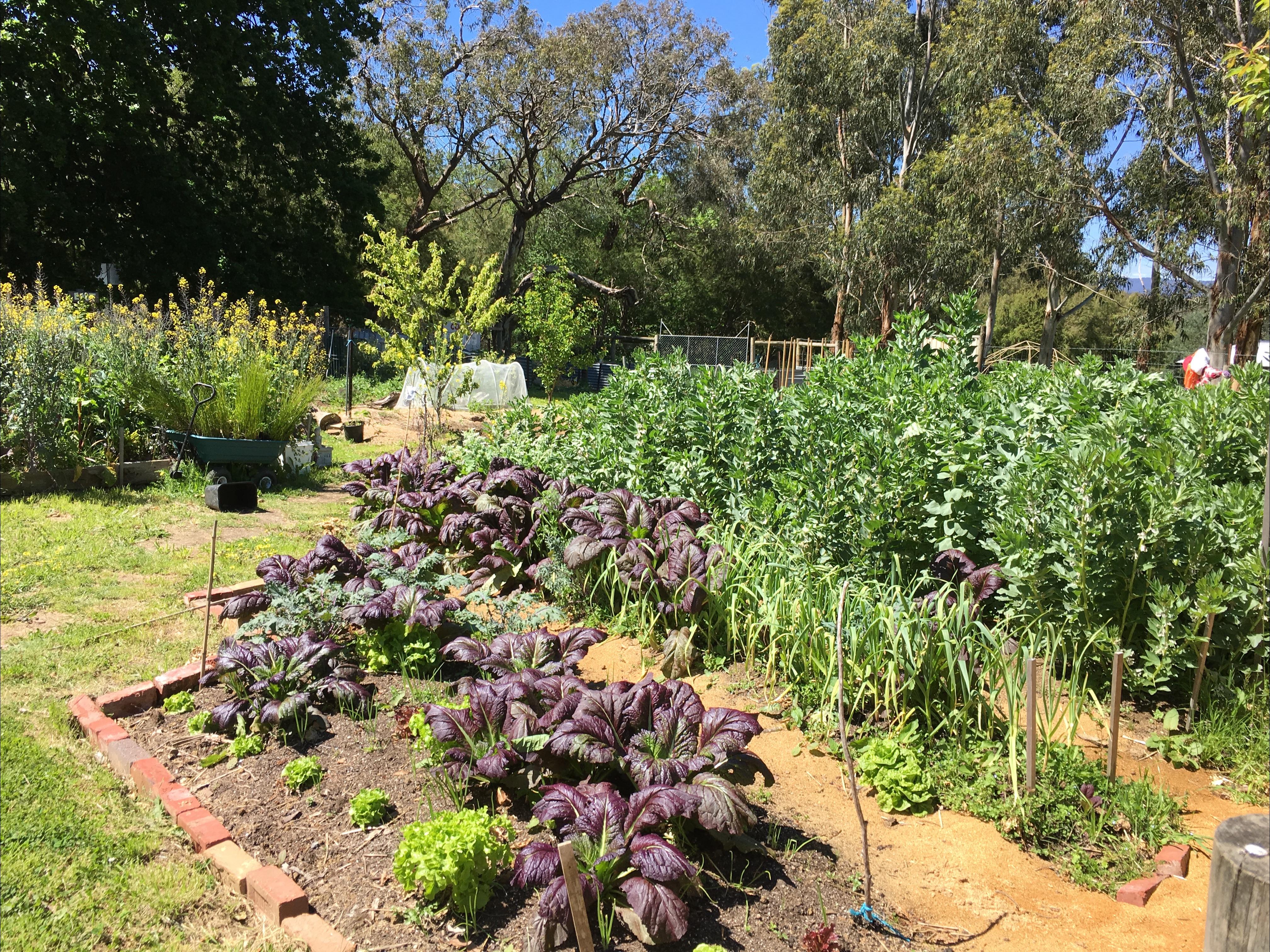 Yarra Valley ECOSS