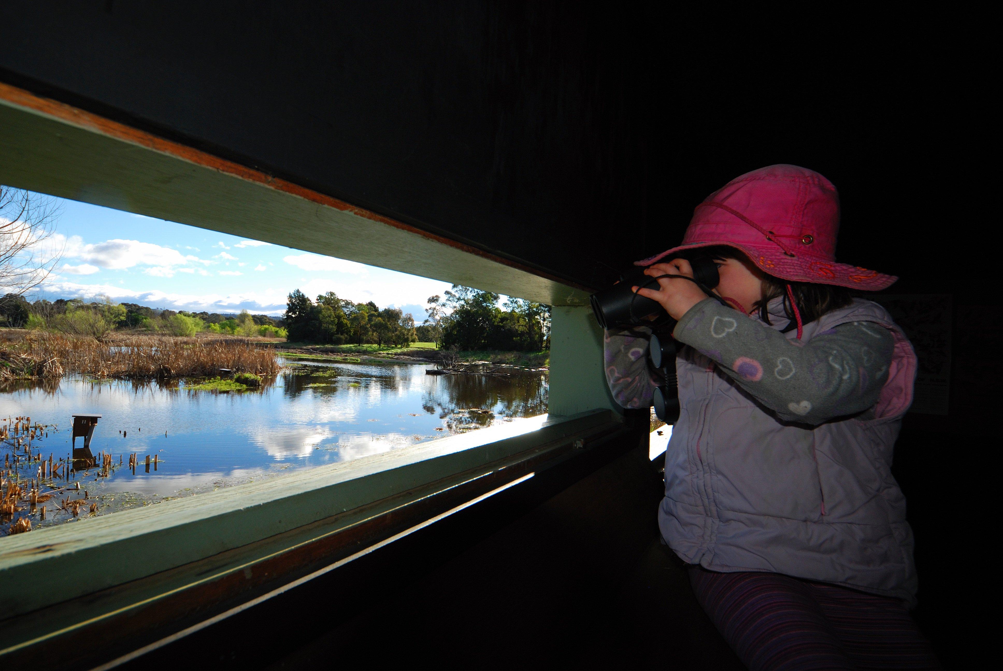 Jerrabomberra Wetlands