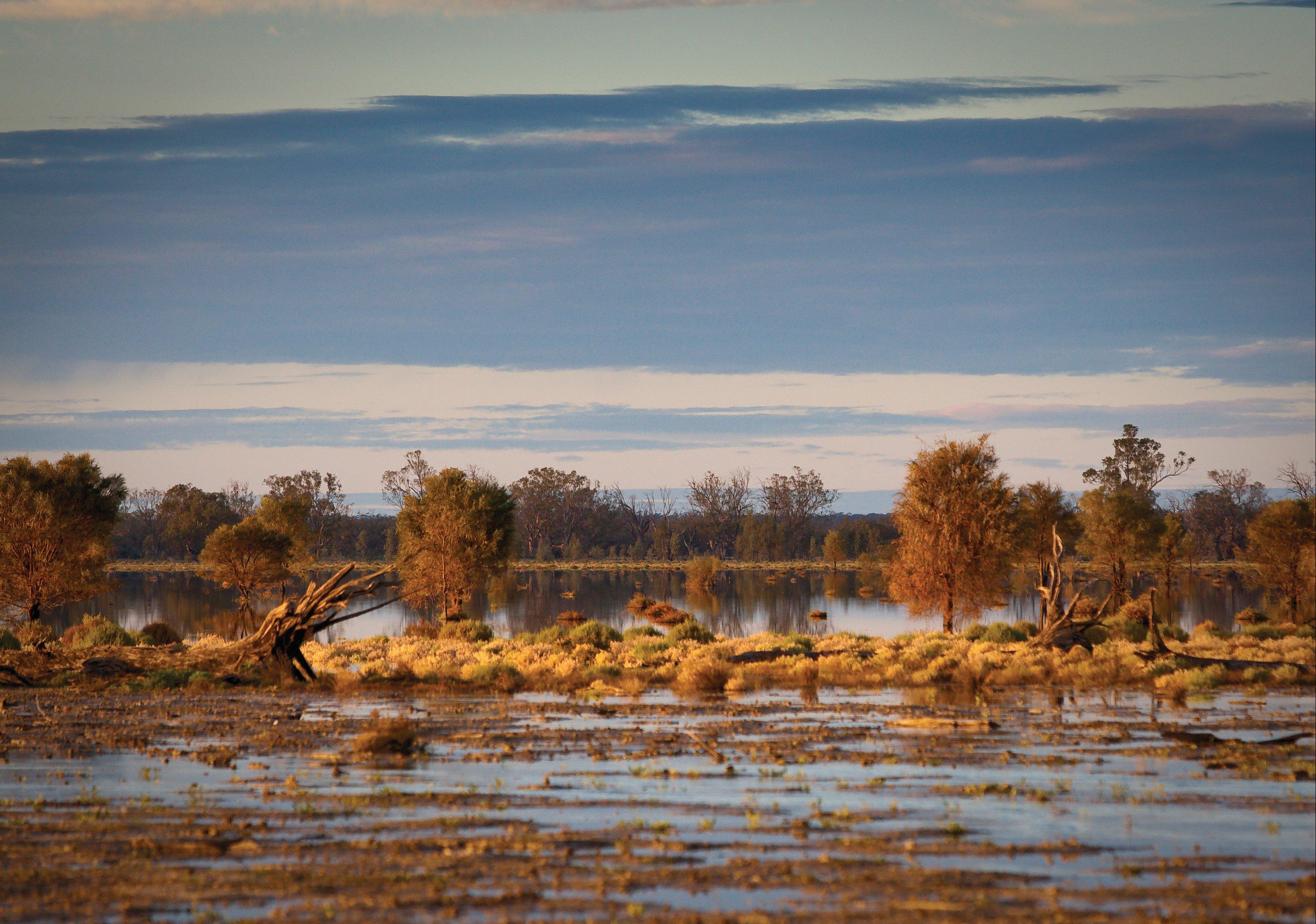 Murray-Sunset National Park