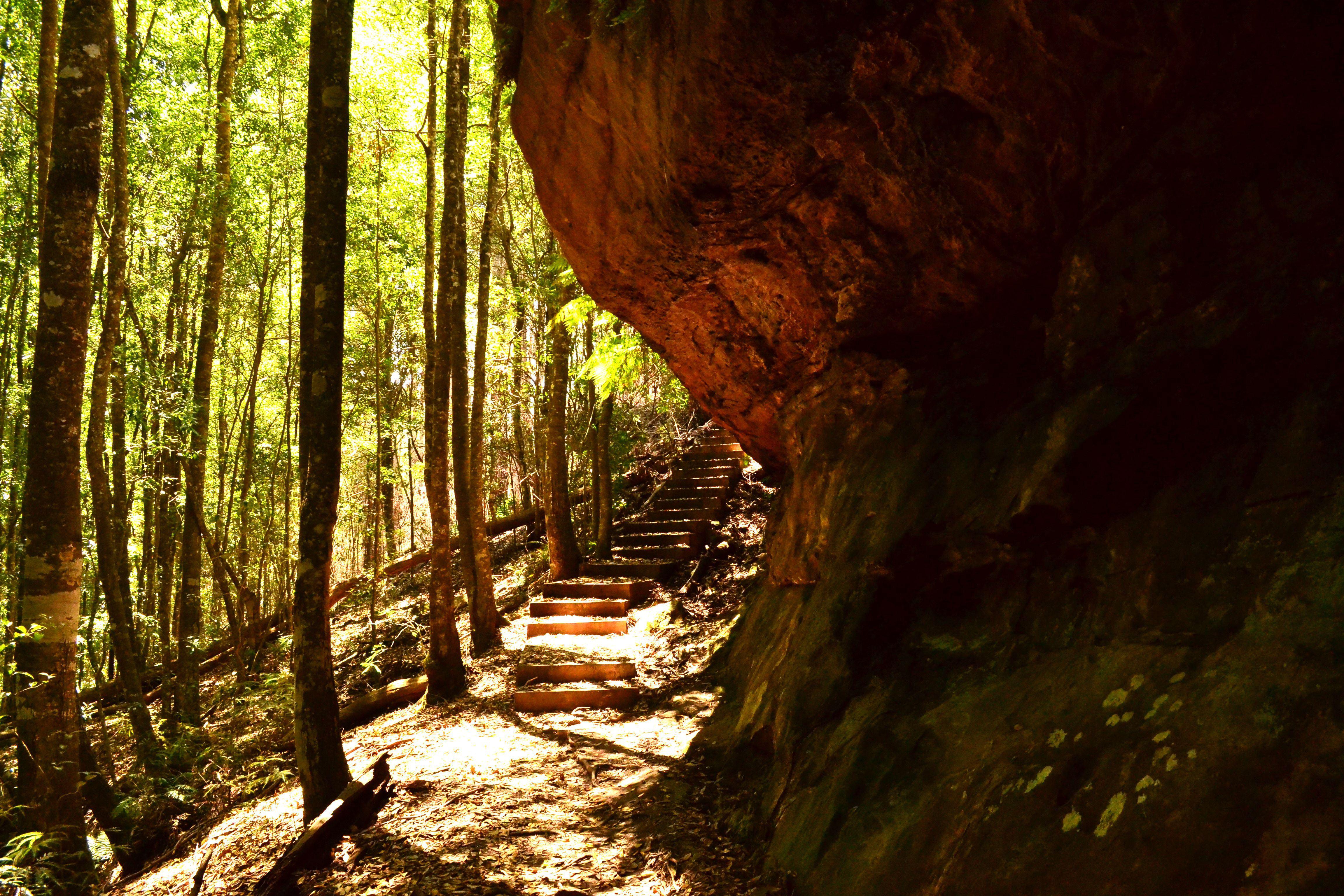 Cave Creek Walking Track