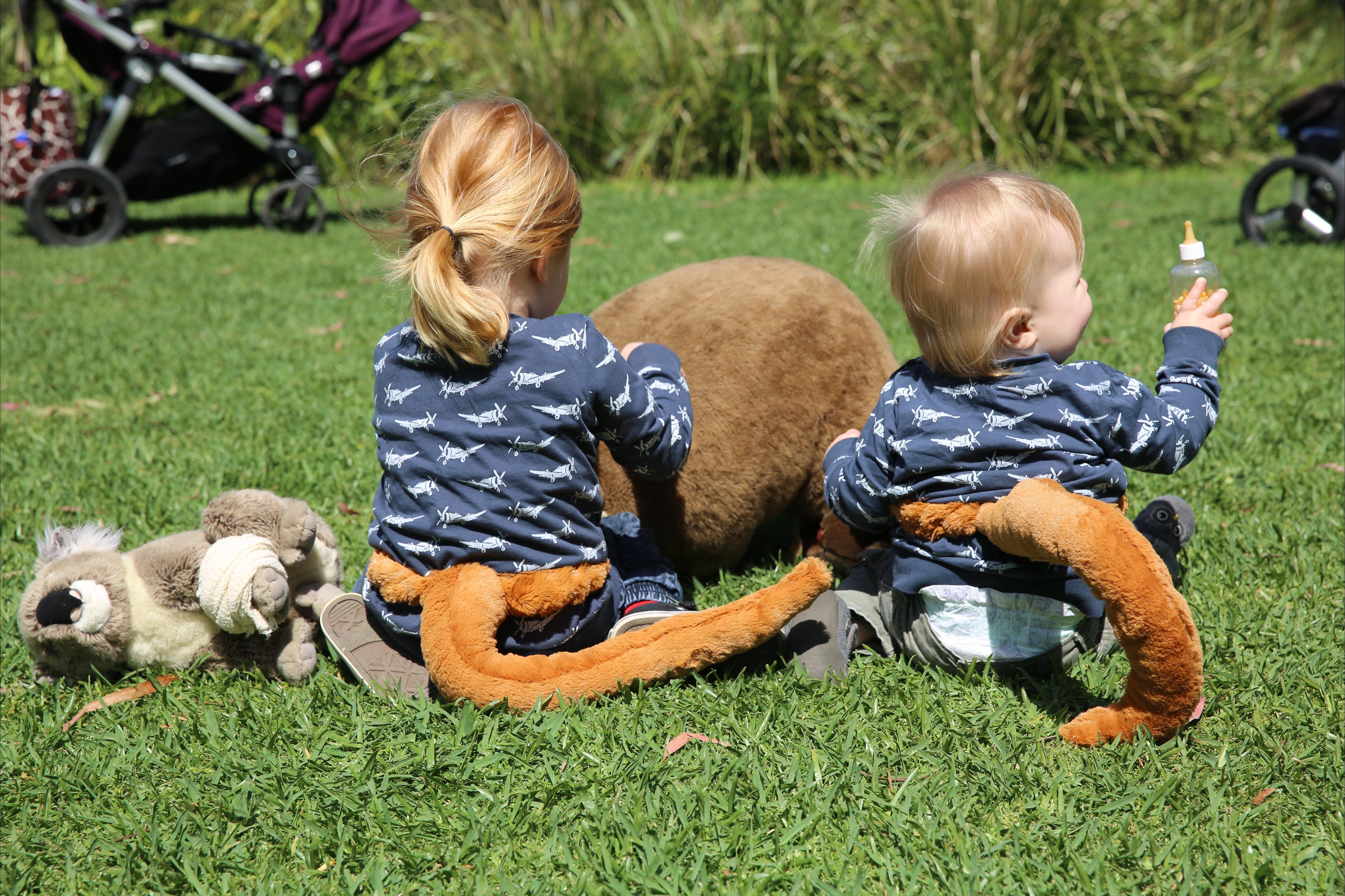 Wallaby Wednesdays at Healesville Sanctuary