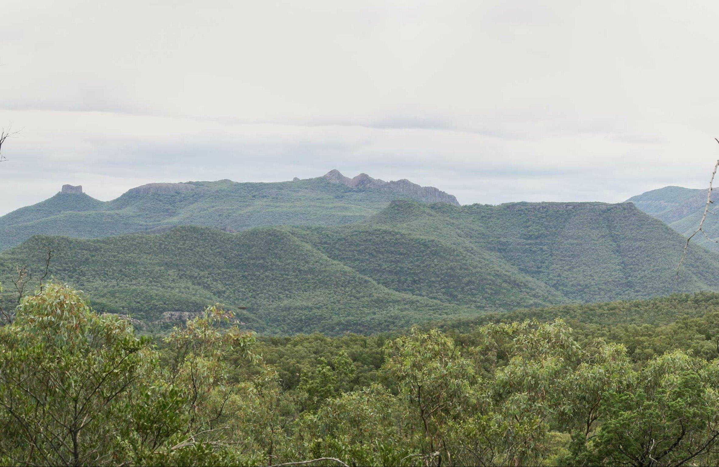 Deriah Aboriginal Information Bay